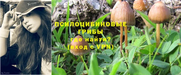 мдпв Сафоново