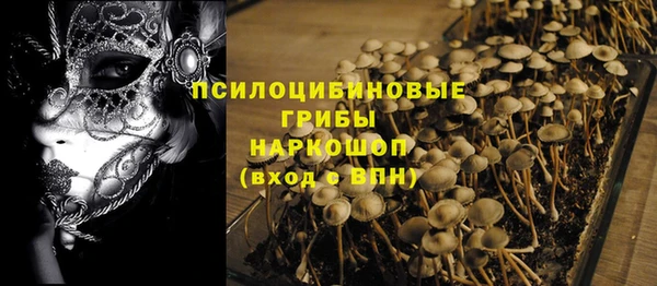 спайс Богданович
