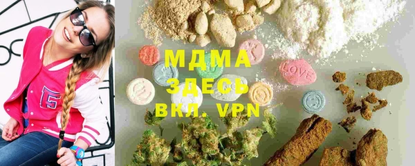 спайс Богданович